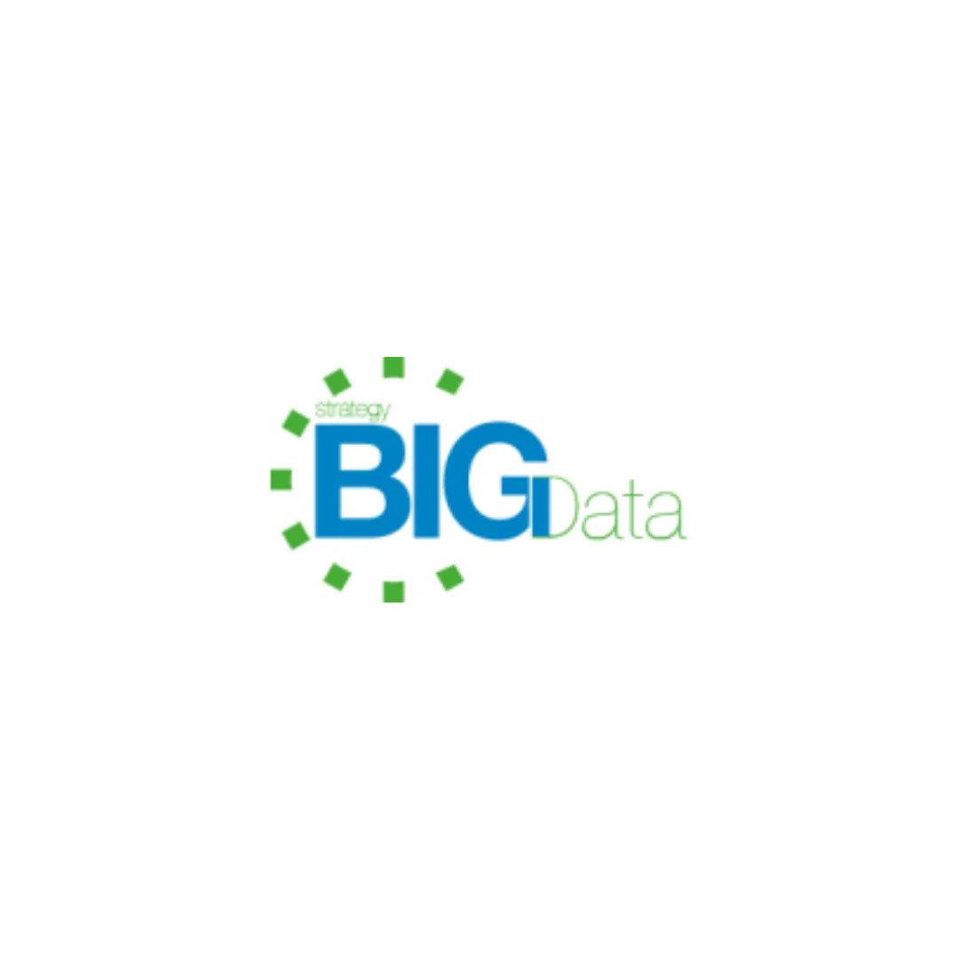 Logo Strategy Big Data